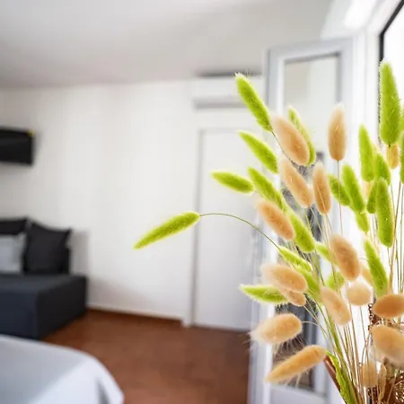 Bed & Breakfast Casa Mimi Procida