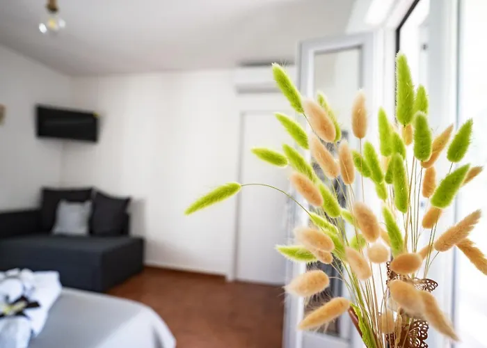 Nocleg ze śniadaniem Casa Mimi Procida